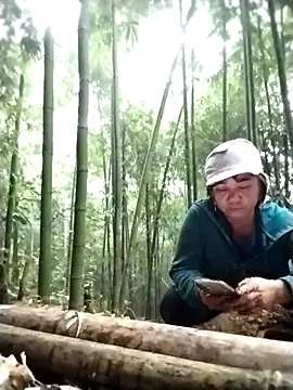 alycen online show from January 15, 2026, 8:30 am