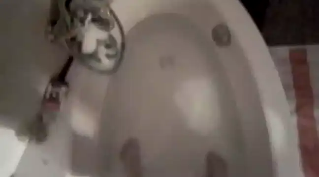 Erz84 online show from March 5, 2025, 11:05 pm