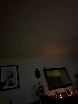 THC81NL online show from November 9, 2025, 11:25 pm