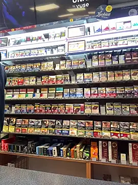 Dominic2295 online show from February 17, 2026, 5:04 am