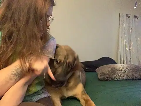 Intothewoodswego online show from February 22, 2026, 1:29 am