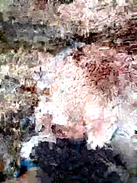 ParejaSutra69 online show from January 8, 2026, 10:56 pm