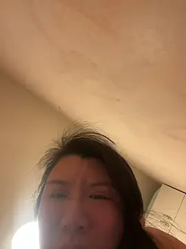 wy2026 online show from February 11, 2026, 4:56 pm