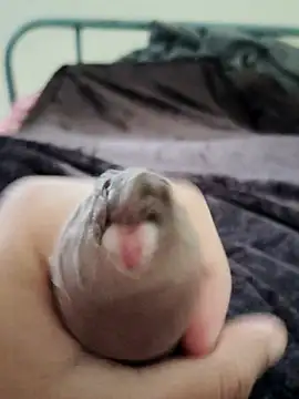 unknownuser96 online show from January 9, 2026, 8:06 am