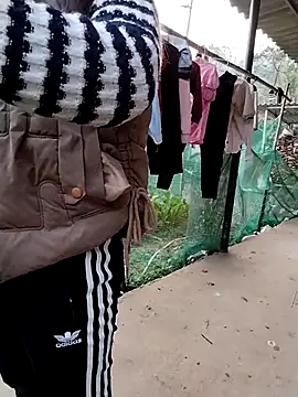 waaini99 online show from January 13, 2026, 12:27 am