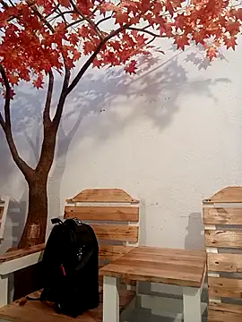 Dante Knox online show from April 17, 2026, 11:02 am