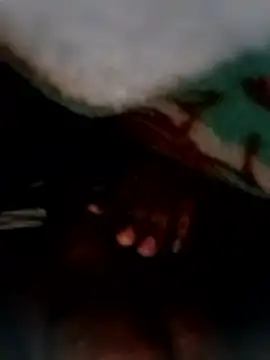 entrainer99 online show from January 9, 2026, 7:37 pm