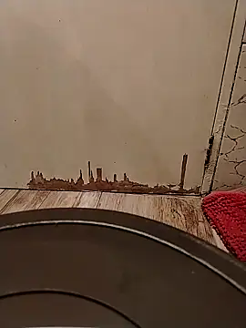 Gorditacarlota online show from February 1, 2026, 5:00 pm