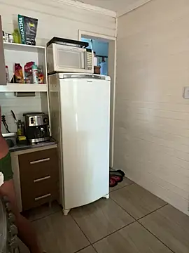 dogfrota online show from March 12, 2026, 12:22 pm