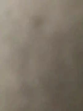 KGF786 online show from February 12, 2026, 4:35 pm