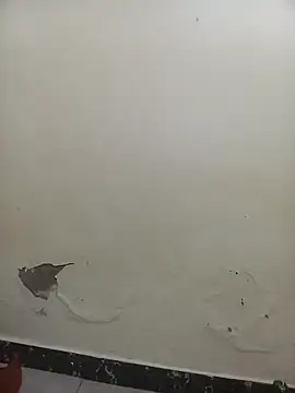 PatriciaVen online show from February 7, 2026, 5:44 am