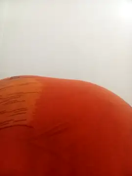 PatriciaVen online show from February 9, 2026, 4:16 am