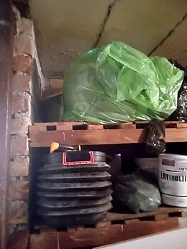 dicklife3485 online show from April 1, 2026, 1:41 pm