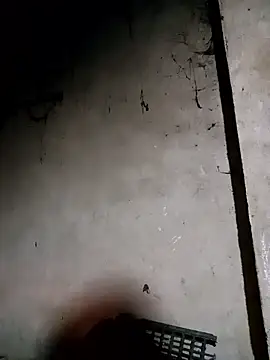 Nga x9 online show from January 31, 2026, 10:19 pm