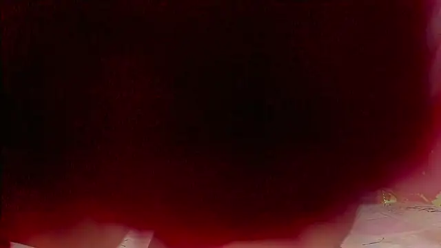 sweet  luna   online show from February 21, 2026, 11:00 am