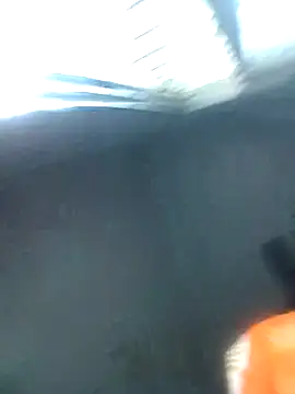 knightqueen12 online show from February 22, 2026, 8:46 am