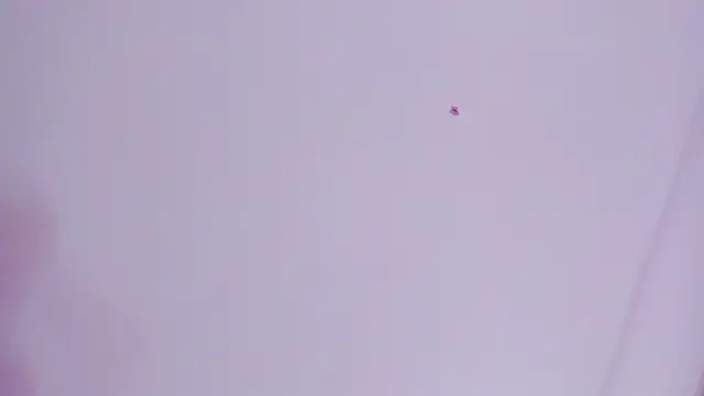 lovely  kiss   online show from March 26, 2026, 6:13 pm