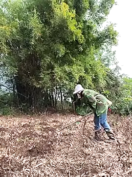 Jooj- online show from March 22, 2026, 9:02 am