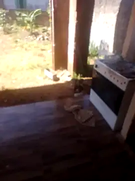 jhon Danda online show from January 17, 2026, 1:27 pm