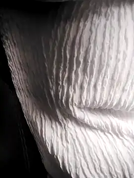 RosseLaure online show from February 25, 2026, 7:56 pm