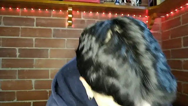 Snapshot of PaulDamico chatting on February 2, 2026, 12:15 pm PaulDamico online show from February 2, 2026, 12:15 pm