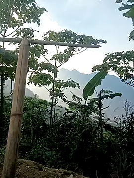 cutebobi online show from March 30, 2026, 9:54 am