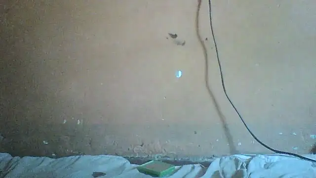 Sexyass100 online show from April 17, 2026, 10:07 am