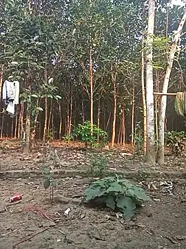 Nuna 689 online show from March 31, 2026, 9:21 am