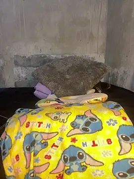 Snapshot of Iam_AlexandraRey chatting on February 8, 2026, 4:49 am Iam AlexandraRey online show from February 8, 2026, 4:49 am