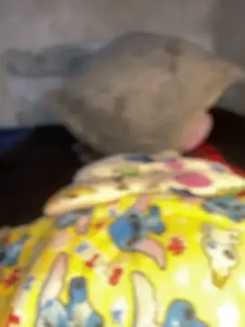 Snapshot of Iam_AlexandraRey chatting on February 15, 2026, 12:07 am Iam AlexandraRey online show from February 15, 2026, 12:07 am