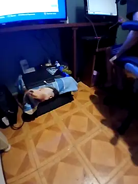 Luzz12 online show from March 21, 2026, 11:41 pm