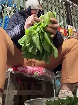 YANINA120 online show from February 3, 2026, 2:53 am