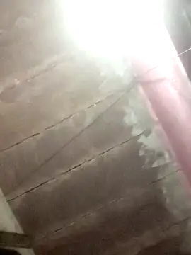 Dipti hote online show from February 10, 2026, 2:32 pm