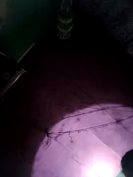 Snapshot of bhavna_pandit chatting on February 17, 2026, 8:55 am bhavna pandit online show from February 17, 2026, 8:55 am