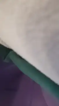 GassyClop online show from April 4, 2026, 12:53 am