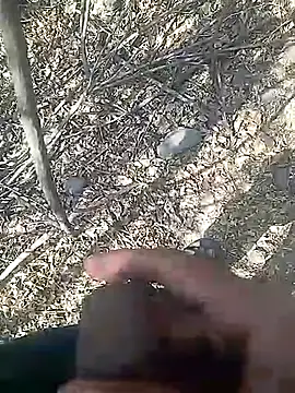 Snapshot of Cute_Boy_4 chatting on February 23, 2026, 8:01 am Cute Boy 4 online show from February 23, 2026, 8:01 am