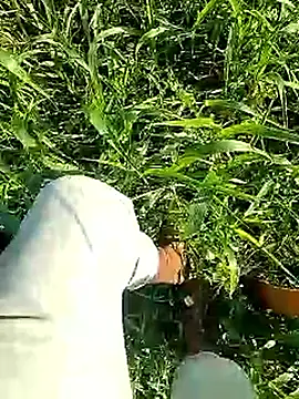 Cute Boy 4 online show from April 6, 2026, 2:53 am