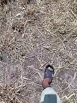 Cute Boy 4 online show from April 18, 2026, 7:45 am