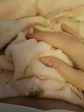 Snapshot of CutxeFrench chatting on March 2, 2026, 10:33 am CutxeFrench online show from March 2, 2026, 10:33 am