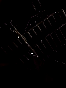 Snapshot of alex_callmemaybe69 chatting on February 9, 2026, 9:30 pm alex callmemaybe69 online show from February 9, 2026, 9:30 pm