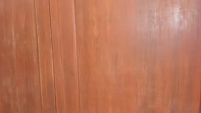 Snapshot of Sophiia88 chatting on February 18, 2026, 12:01 pm Sophiia88 online show from February 18, 2026, 12:01 pm