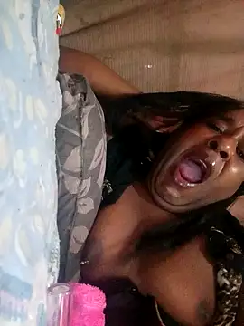 Snapshot of Hellentrans24 chatting on March 13, 2026, 7:26 am Hellentrans24 online show from March 13, 2026, 7:26 am