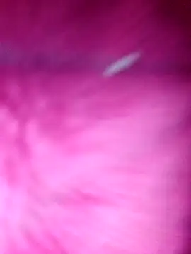 Snapshot of Hellentrans24 chatting on March 25, 2026, 8:53 am Hellentrans24 online show from March 25, 2026, 8:53 am