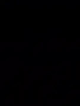 bigbooietx online show from March 11, 2026, 2:50 am