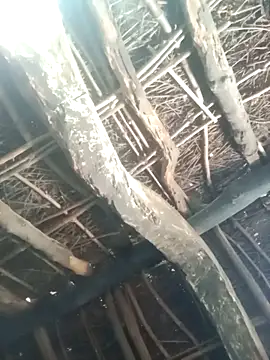 Manu mehta online show from March 31, 2026, 4:57 am