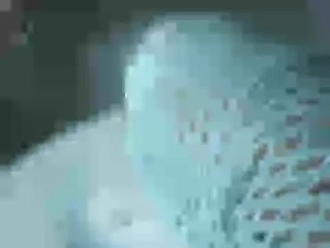 Snapshot of Skyrider95 chatting on March 18, 2026, 11:41 pm Skyrider95 online show from March 18, 2026, 11:41 pm