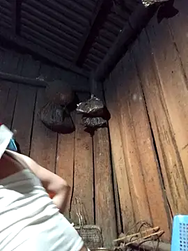 Snapshot of lena-cute chatting on February 5, 2026, 12:54 pm lena-cute online show from February 5, 2026, 12:54 pm