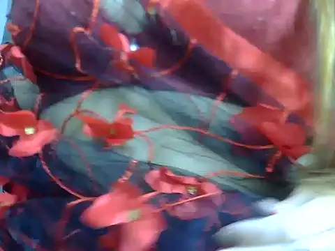 Snapshot of anvika_1709 chatting on February 10, 2026, 4:33 pm anvika 1709 online show from February 10, 2026, 4:33 pm