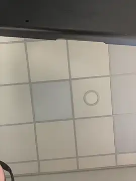 Snapshot of Mindfulstep2 chatting on February 3, 2026, 1:38 pm Mindfulstep2 online show from February 3, 2026, 1:38 pm