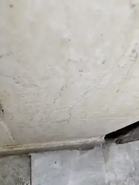 basyo2 online show from April 24, 2026, 5:21 am